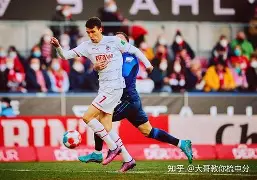 足球斯特拉斯堡对费内巴切直播视频在线看 足球斯特拉斯堡对费内巴切直播视频在线看