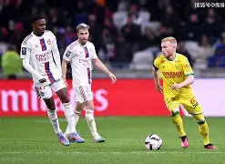 包含雷恩主场击败南特，保持稳定状态的词条