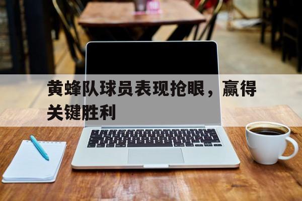 黄蜂队球员表现抢眼，赢得关键胜利(黄蜂队大牌球员)